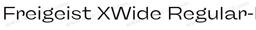 Freigeist XWide Regular字体转换